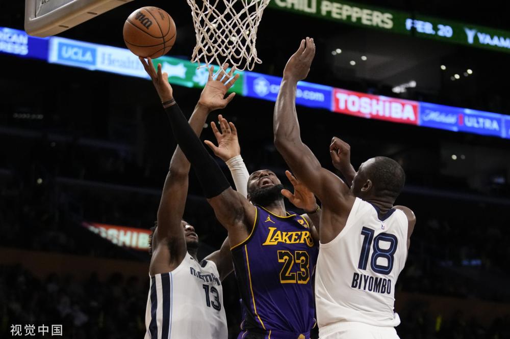 这种多样化 这种多样化