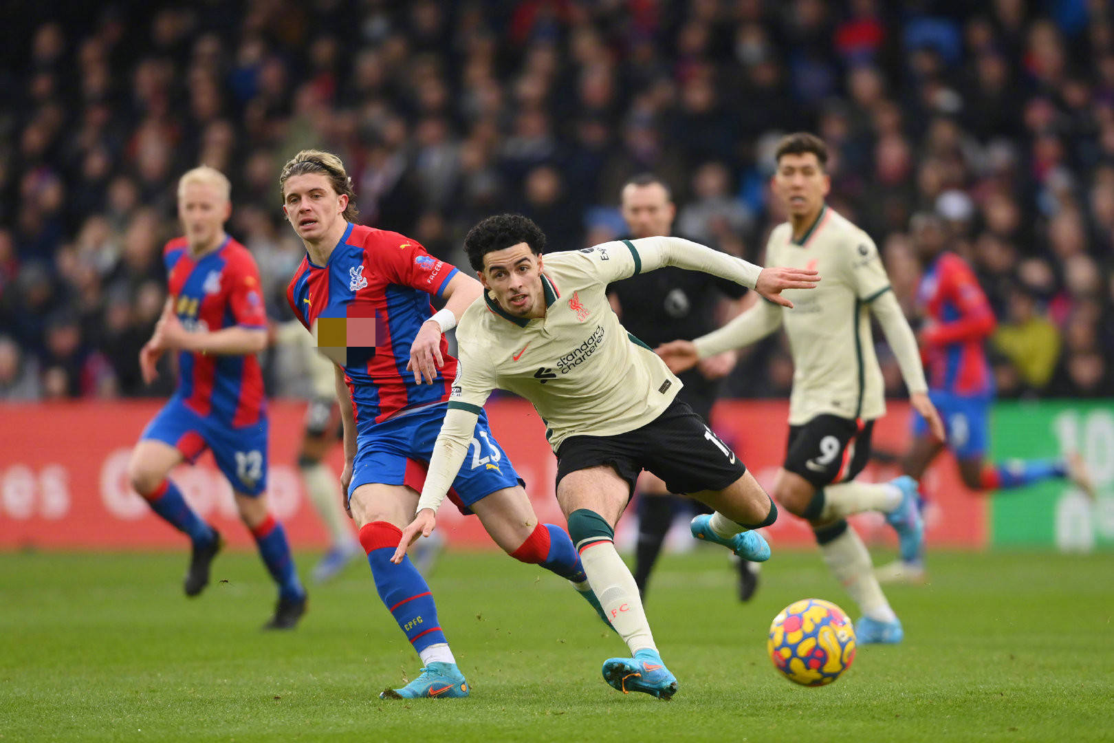 排名第八的 排名第八的